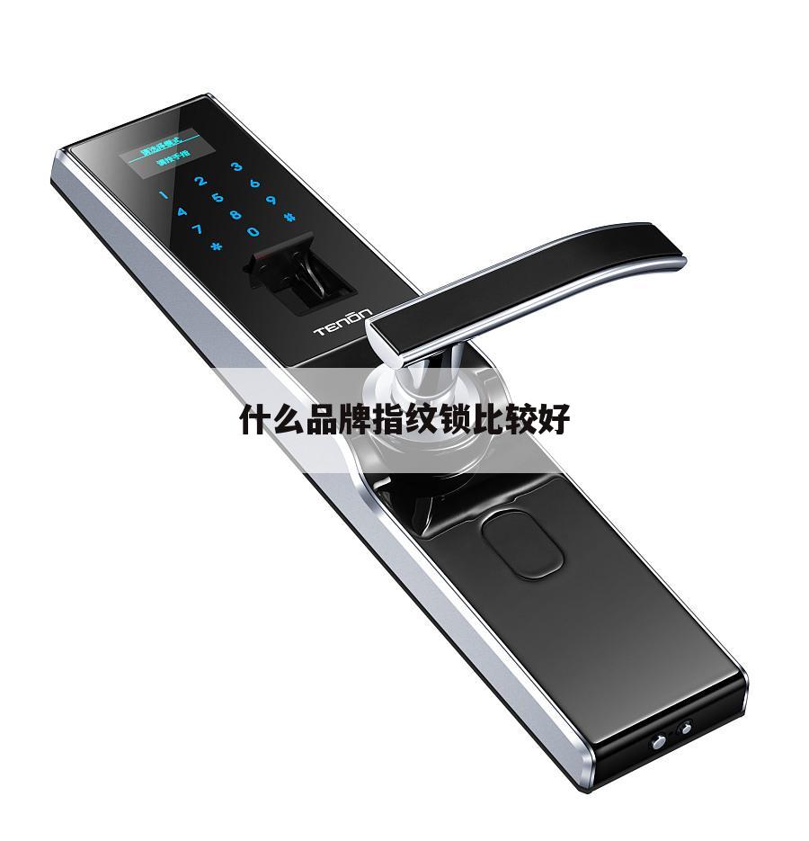 什么品牌指纹锁比较好