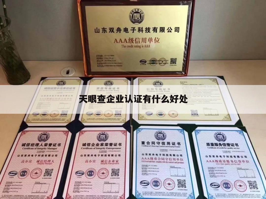 天眼查企业认证有什么好处