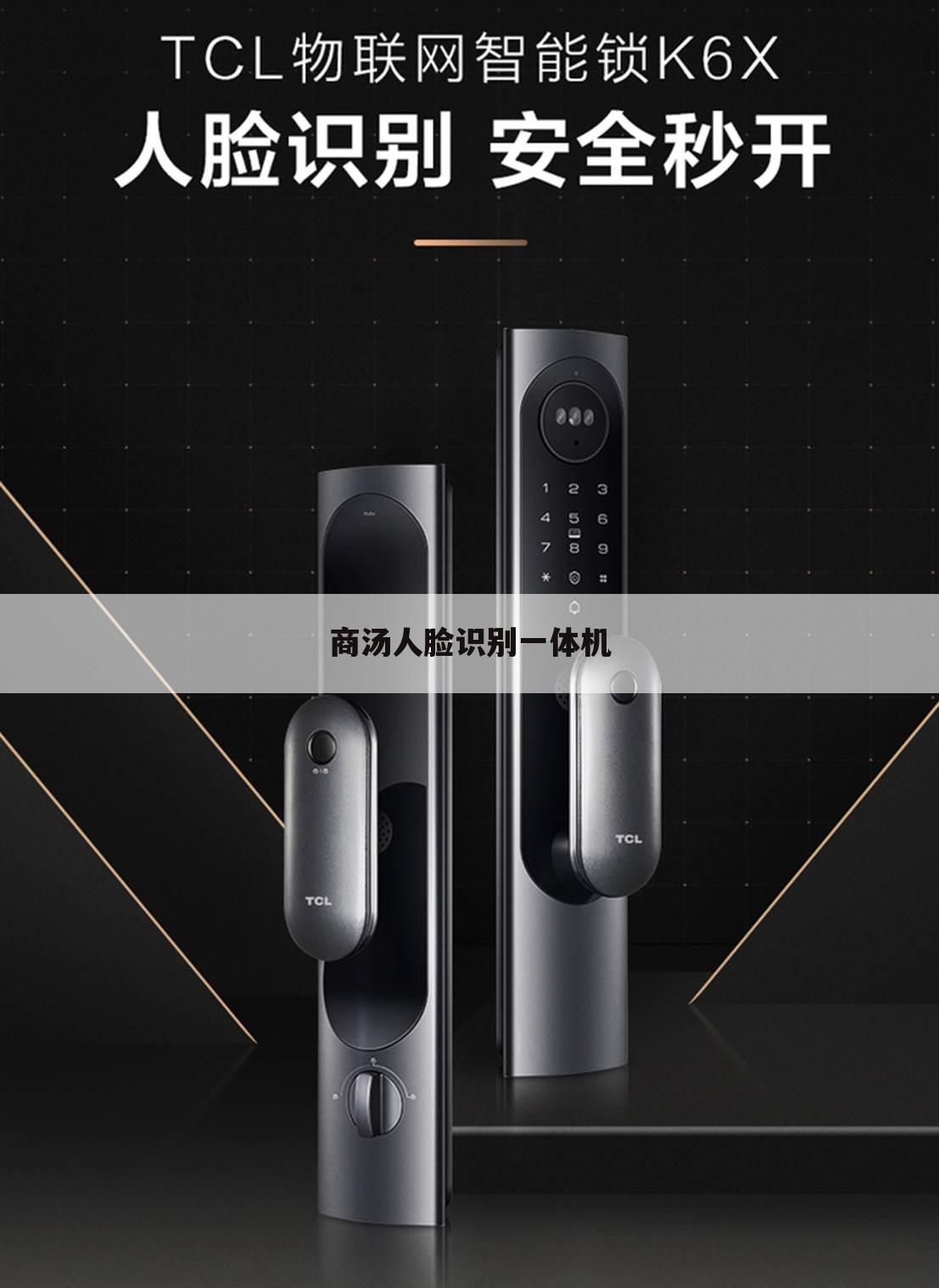 商汤人脸识别一体机