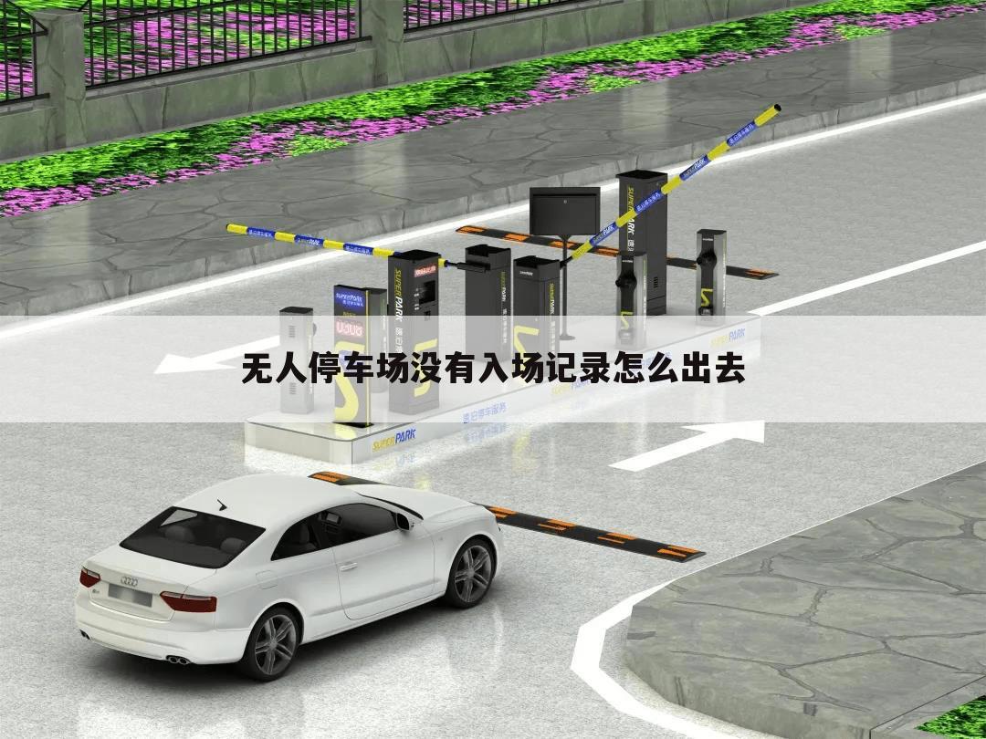 无人停车场没有入场记录怎么出去