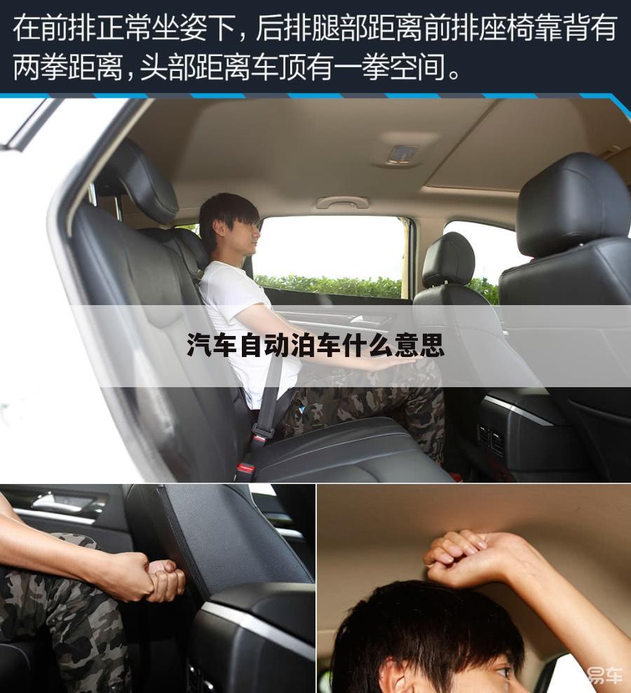 汽车自动泊车什么意思
