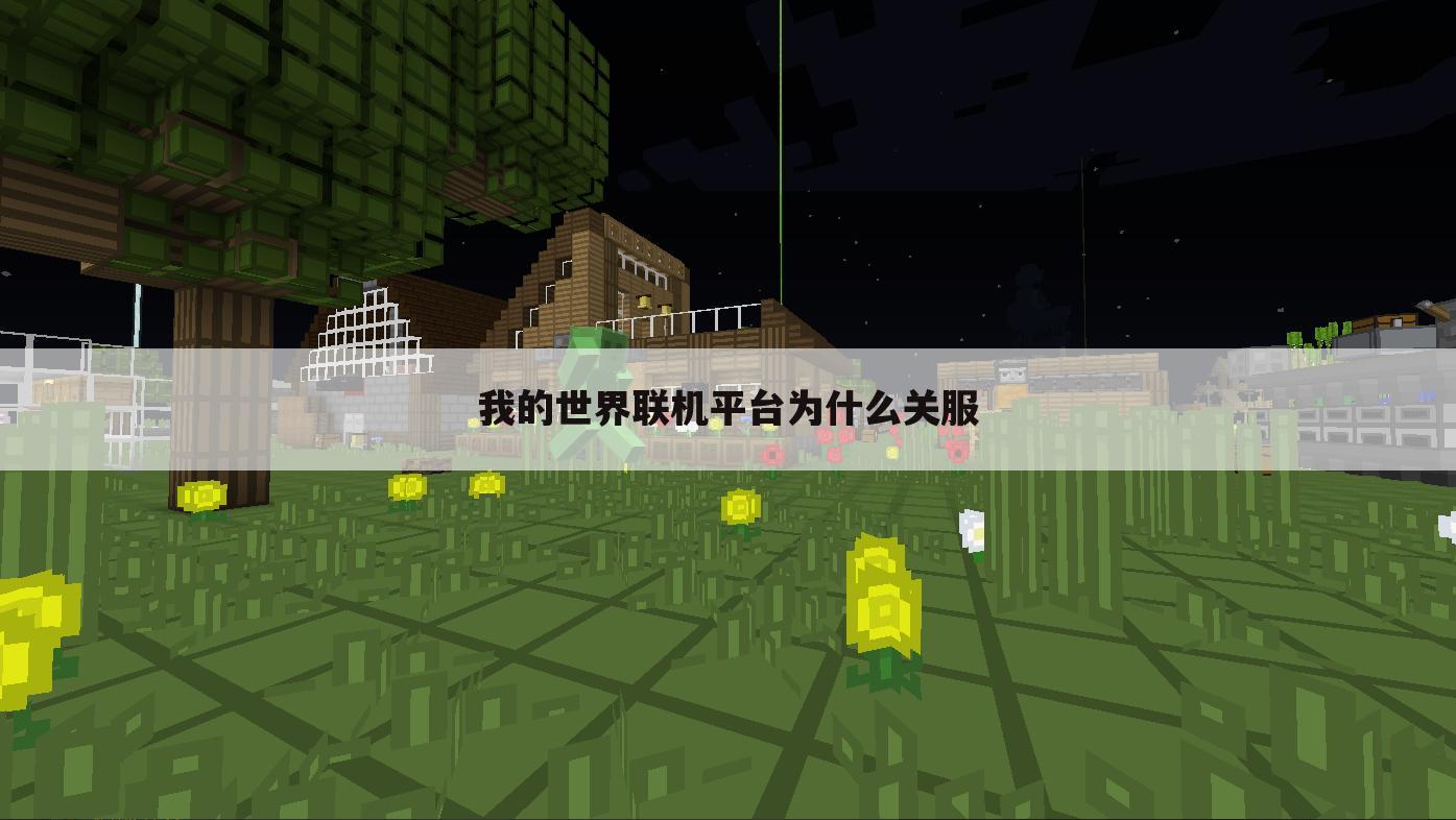 我的世界联机平台为什么关服