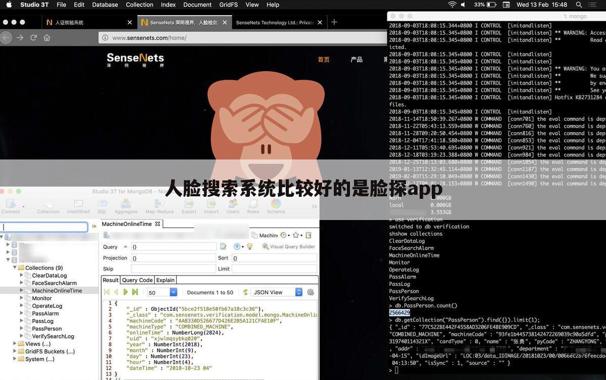 人脸搜索系统比较好的是脸探app
