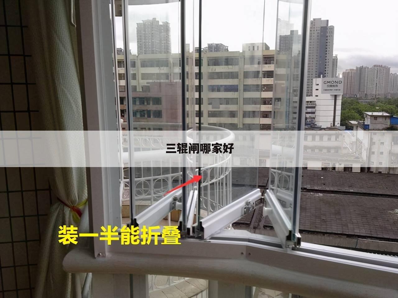 三辊闸哪家好