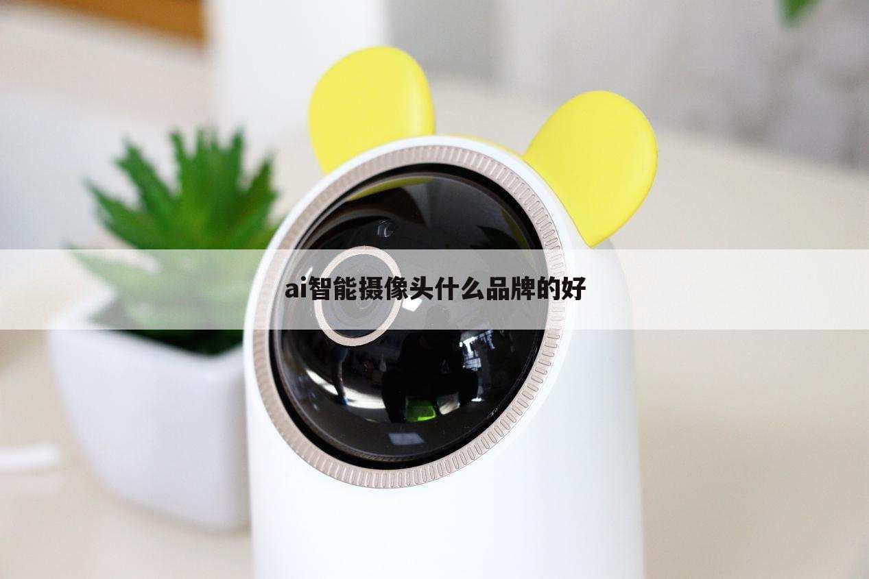 ai智能摄像头什么品牌的好
