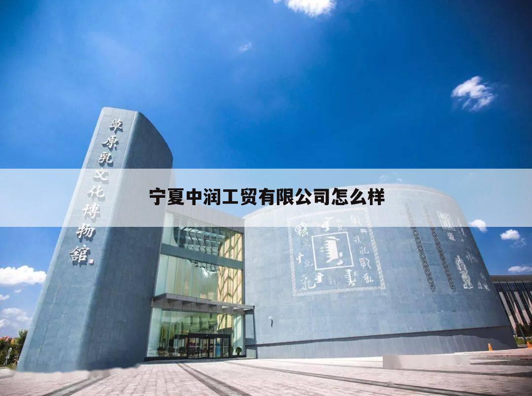 宁夏中润工贸有限公司怎么样
