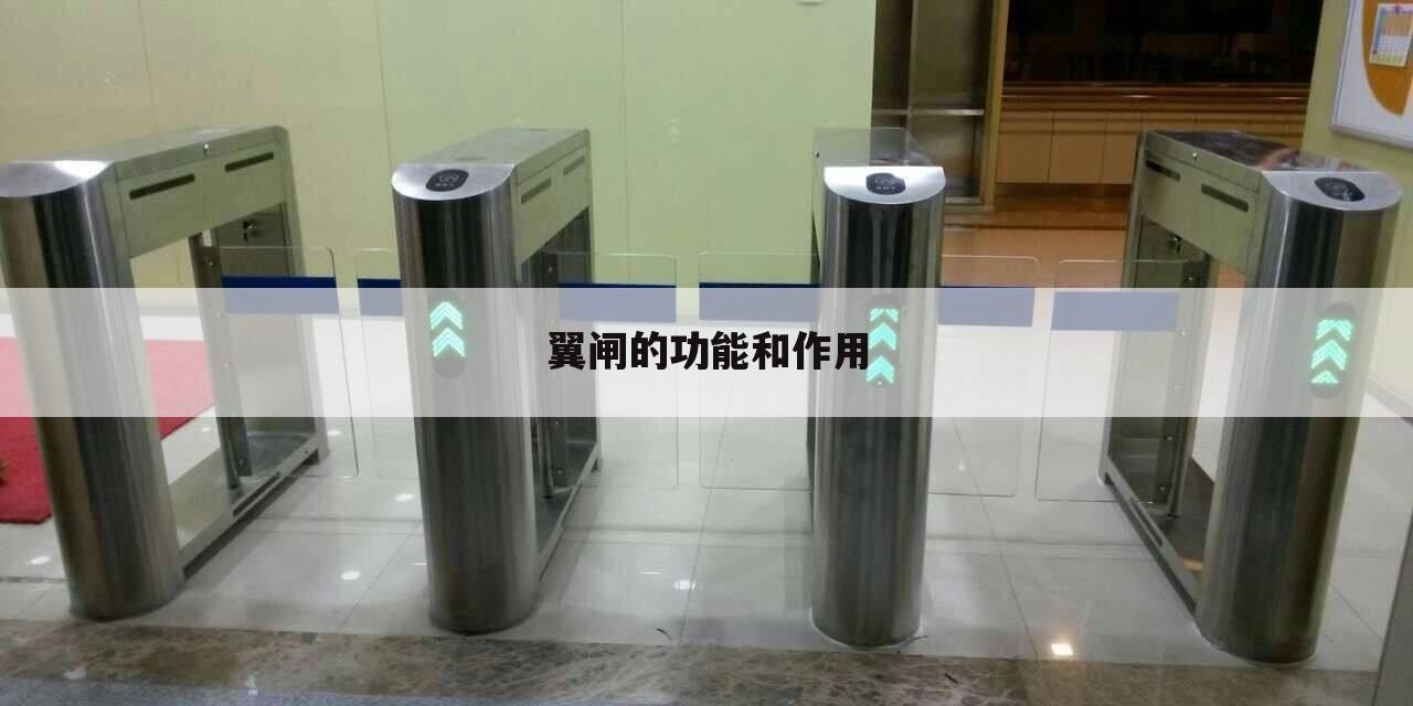翼闸的功能和作用