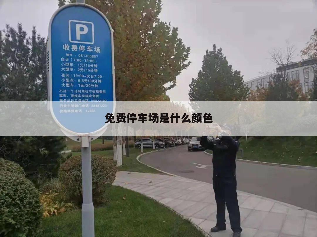 免费停车场是什么颜色