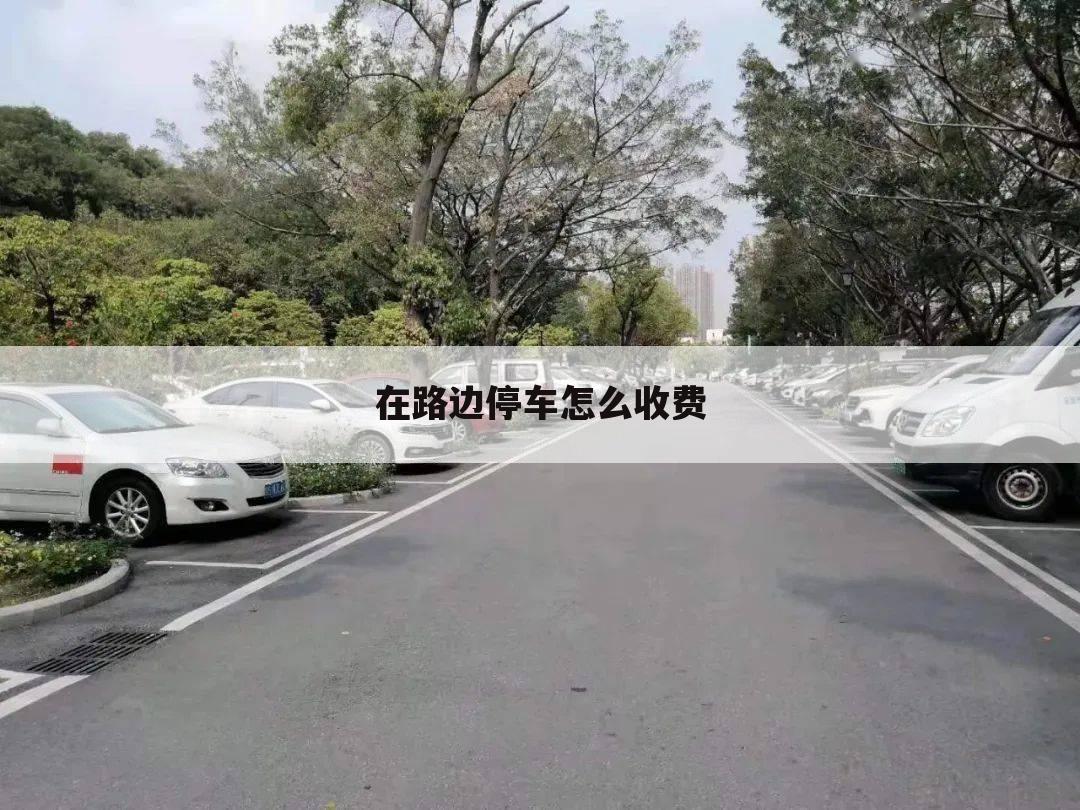 在路边停车怎么收费