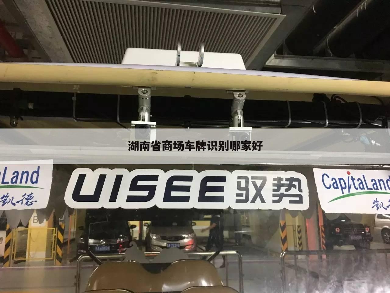 湖南省商场车牌识别哪家好