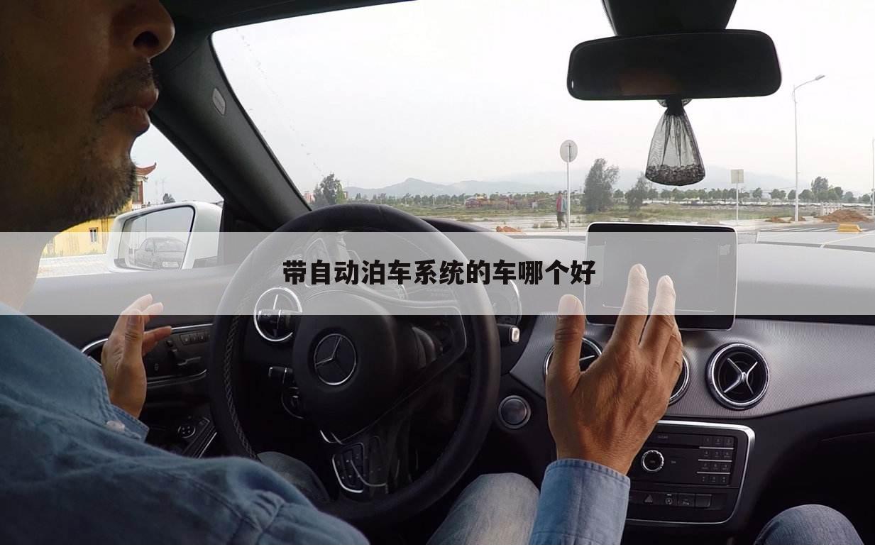 带自动泊车系统的车哪个好