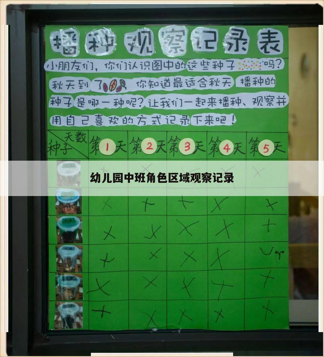 幼儿园中班角色区域观察记录