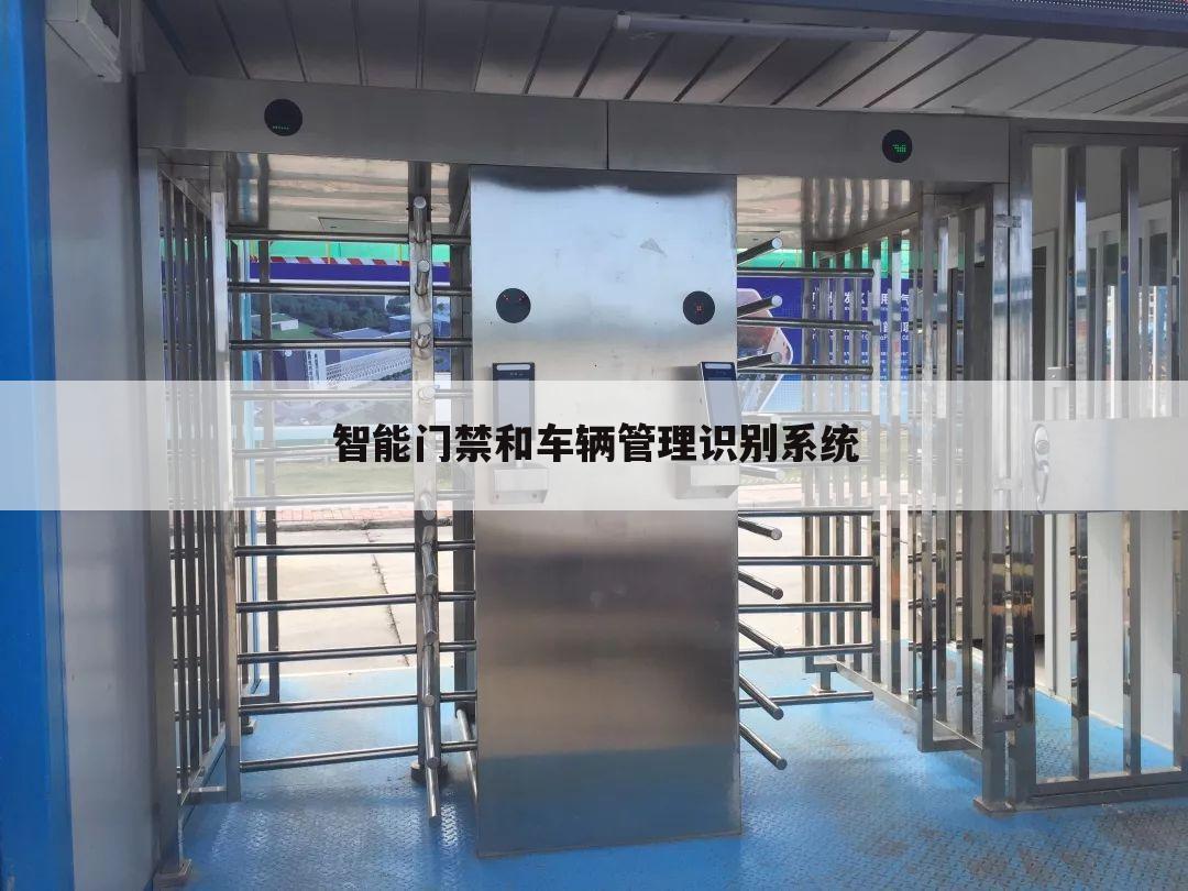 智能门禁和车辆管理识别系统