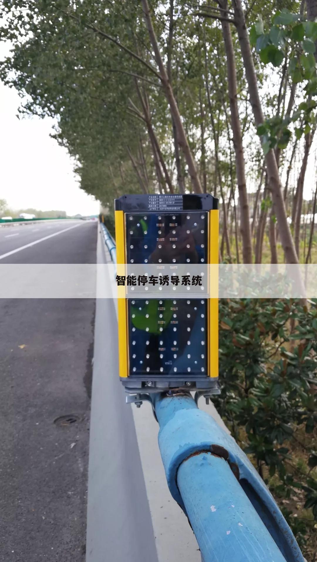 智能停车诱导系统