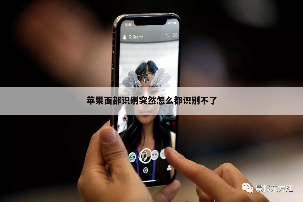 苹果面部识别突然怎么都识别不了