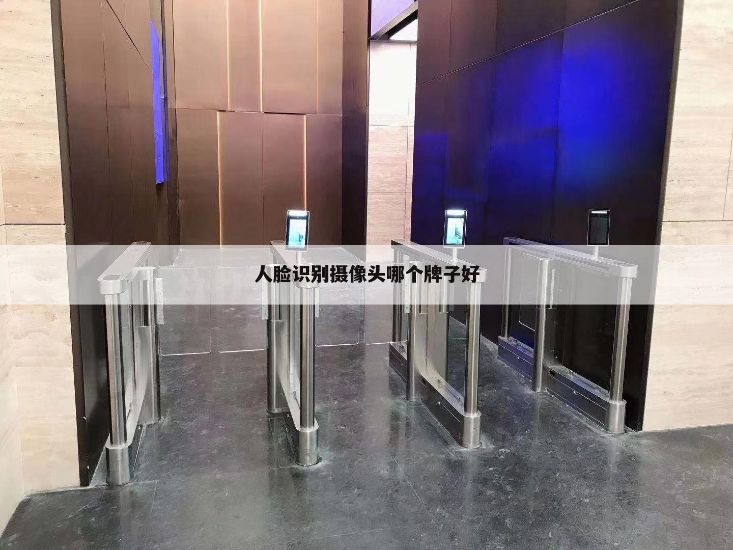 人脸识别摄像头哪个牌子好