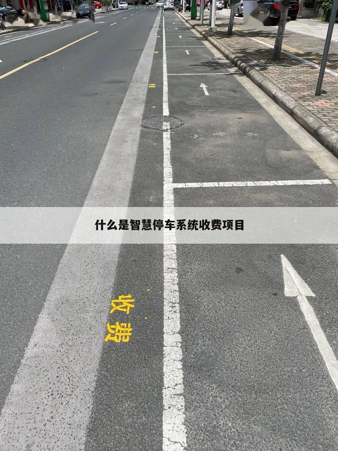 什么是智慧停车系统收费项目