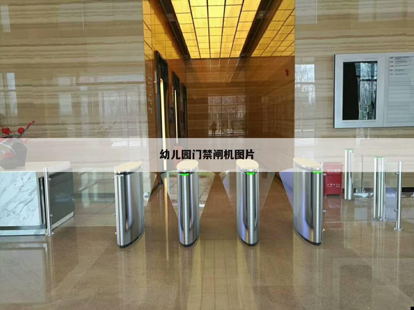幼儿园门禁闸机图片