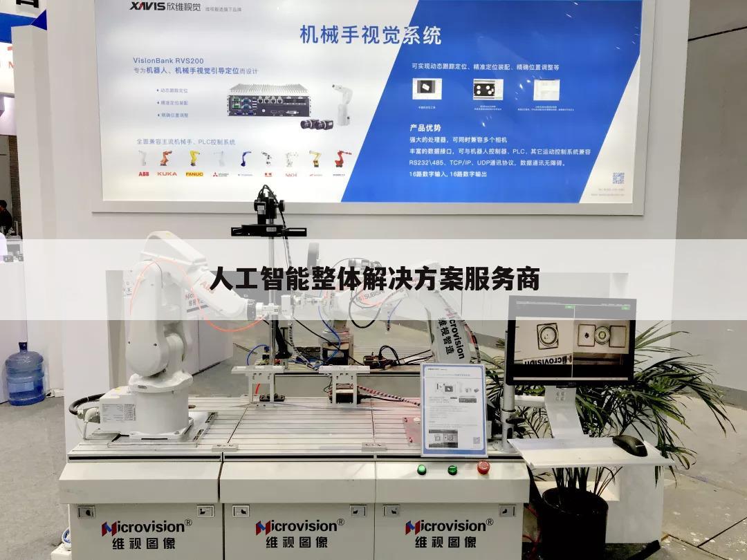 人工智能整体解决方案服务商