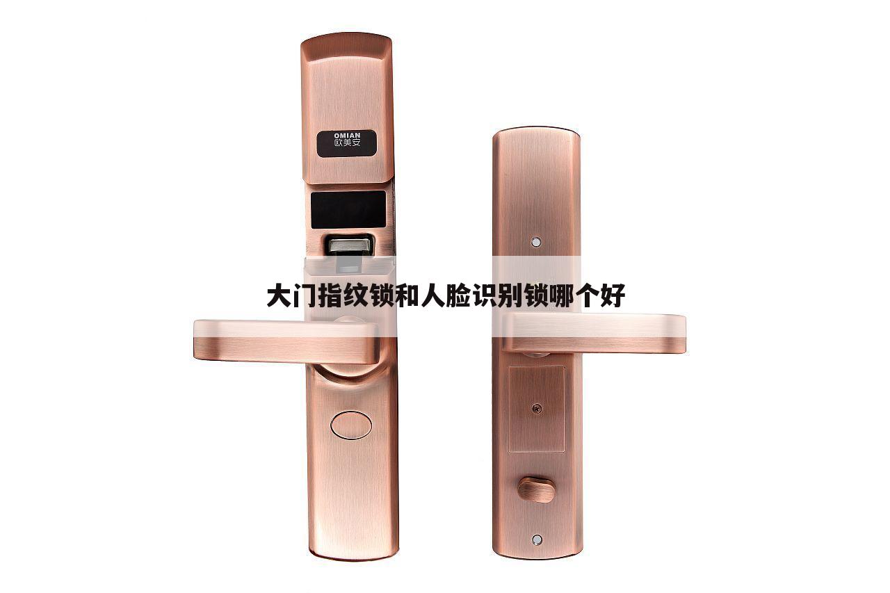 大门指纹锁和人脸识别锁哪个好