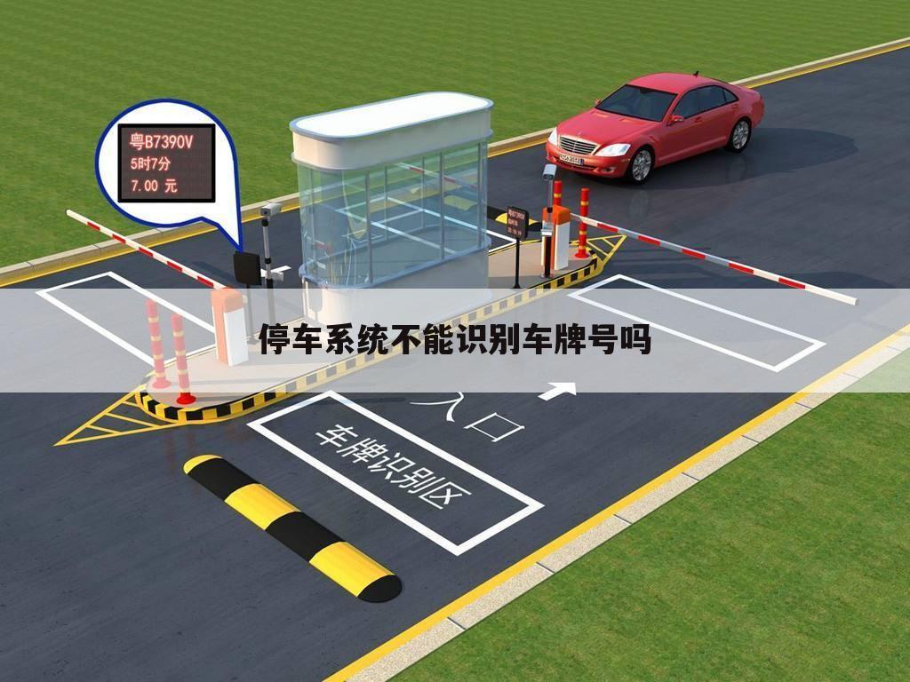 停车系统不能识别车牌号吗