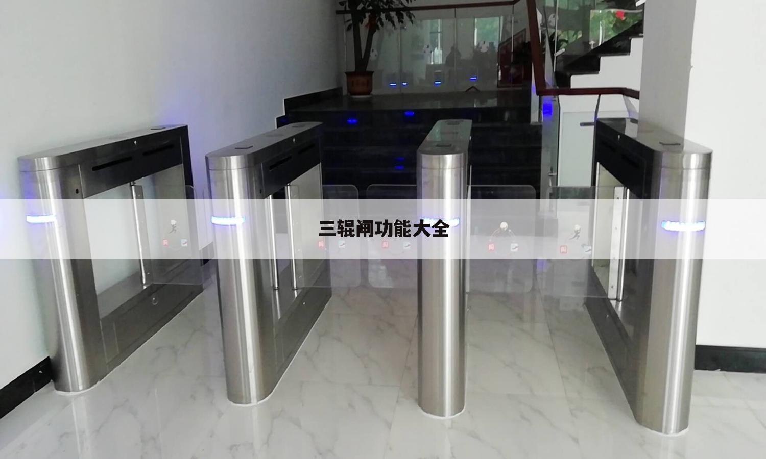 三辊闸功能大全
