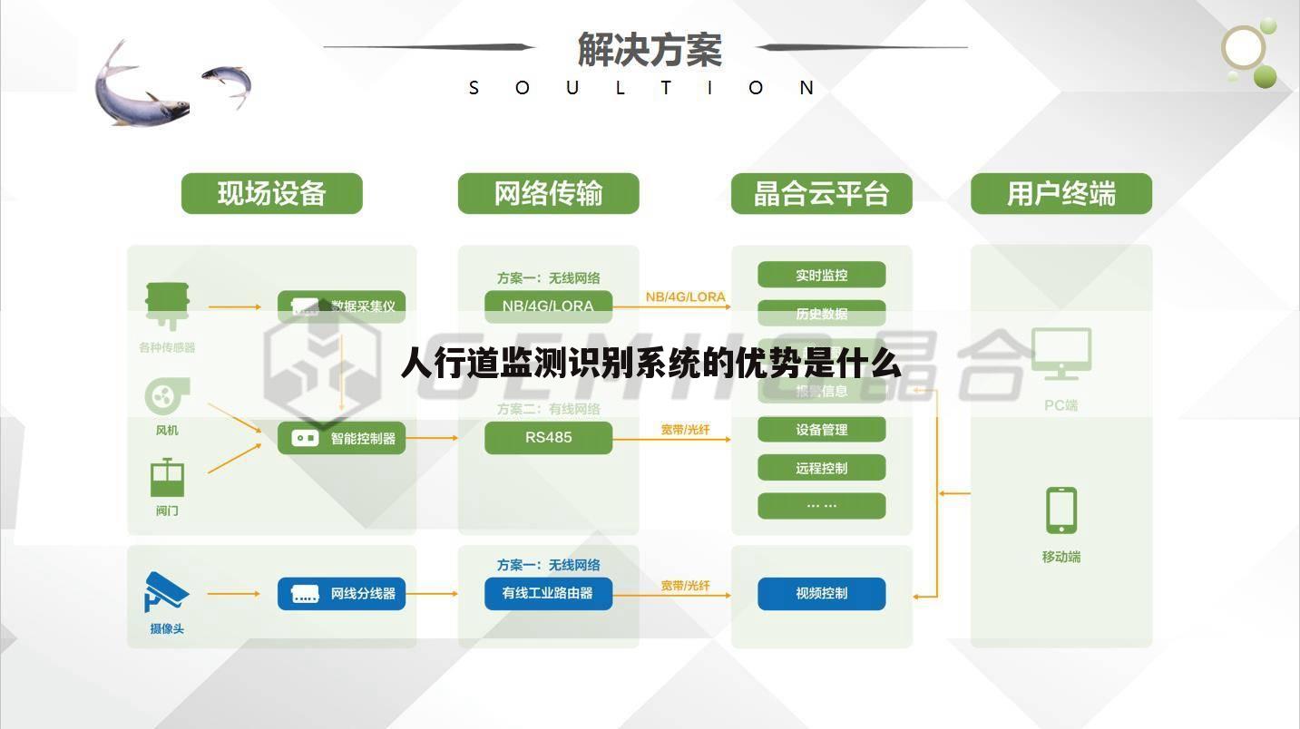 人行道监测识别系统的优势是什么