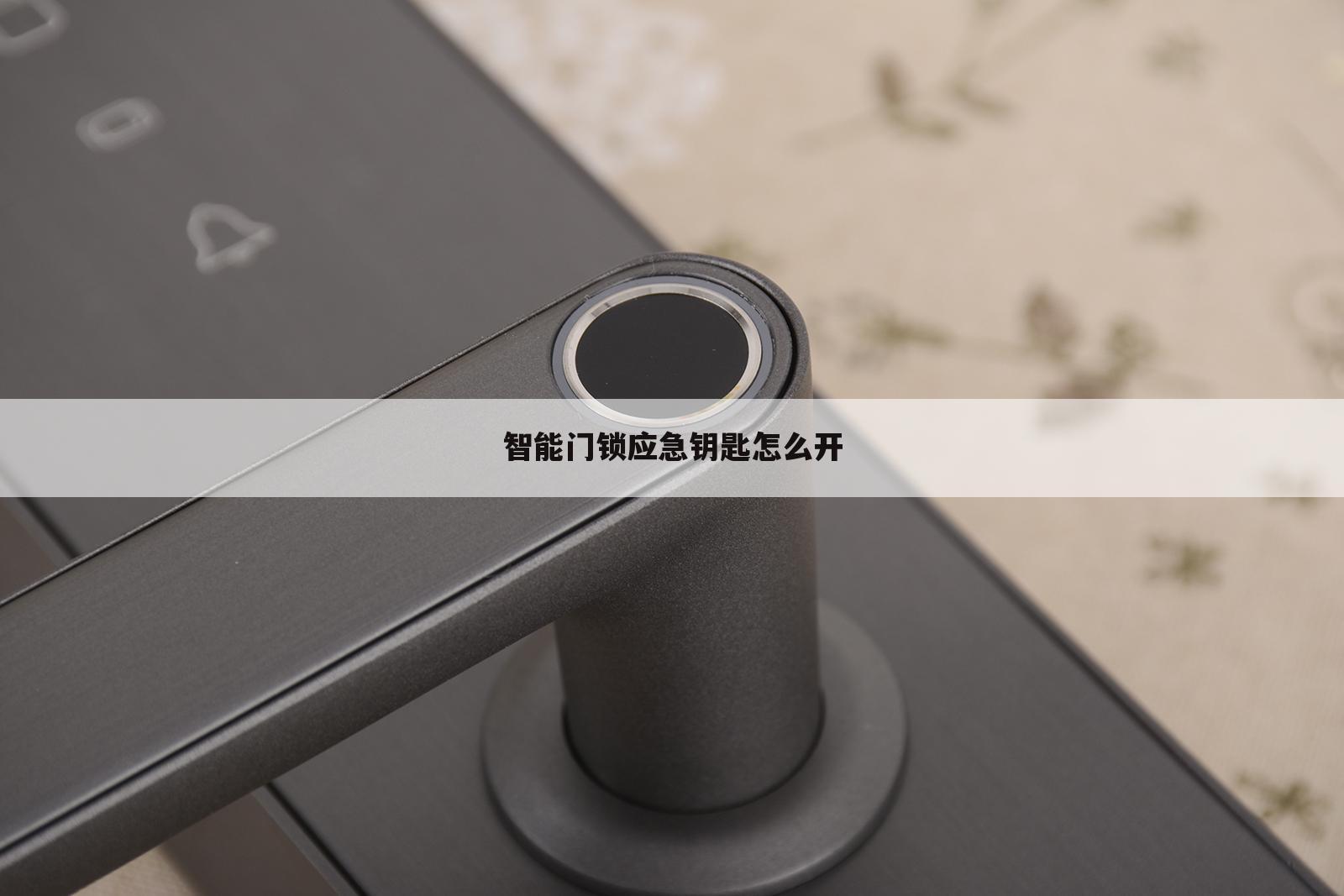 智能门锁应急钥匙怎么开