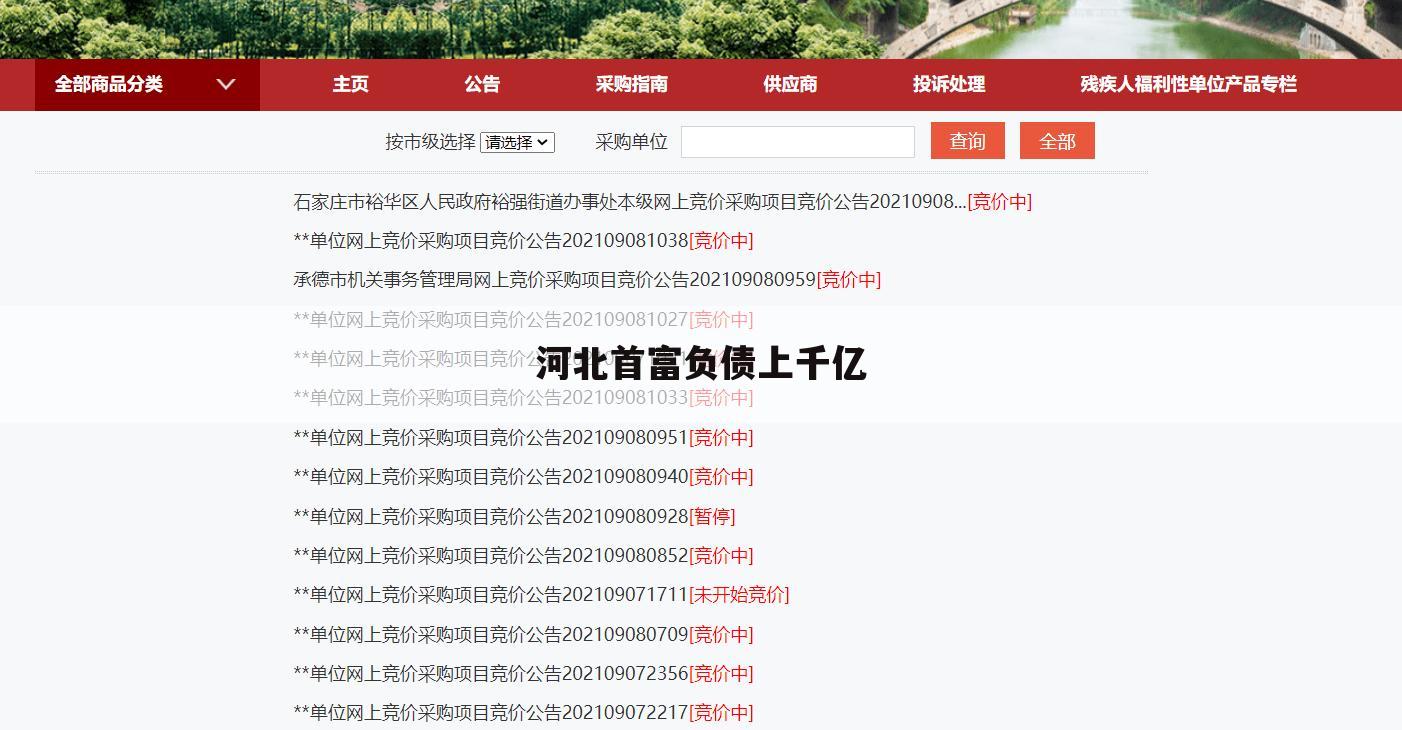 河北首富负债上千亿