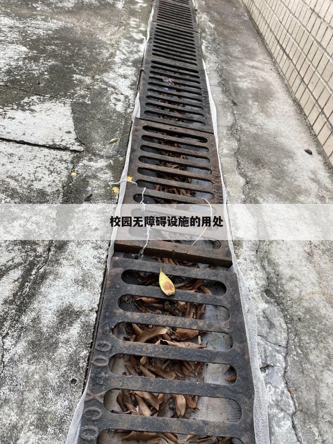 校园无障碍设施的用处