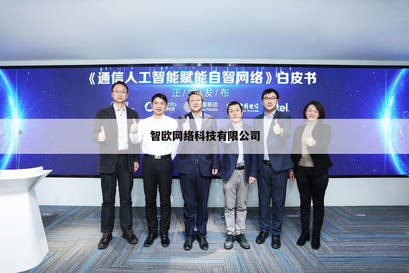 智欧网络科技有限公司