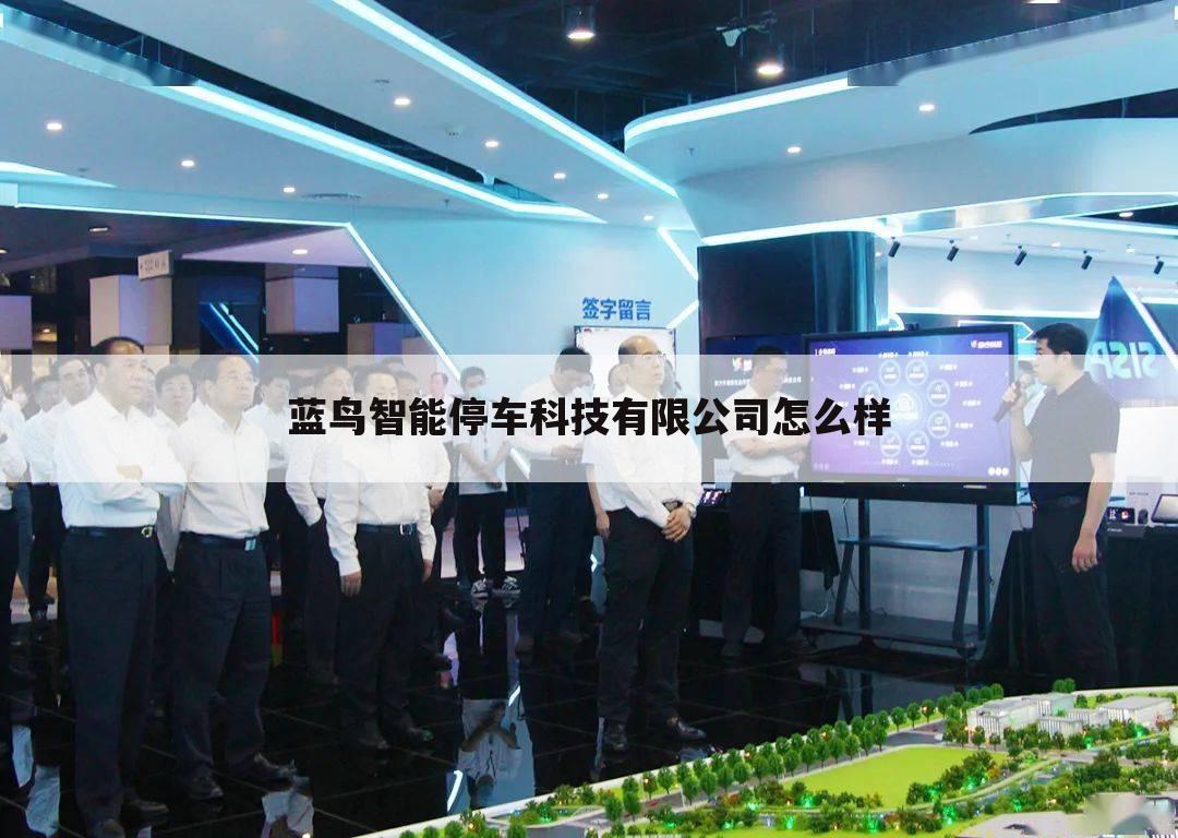 蓝鸟智能停车科技有限公司怎么样