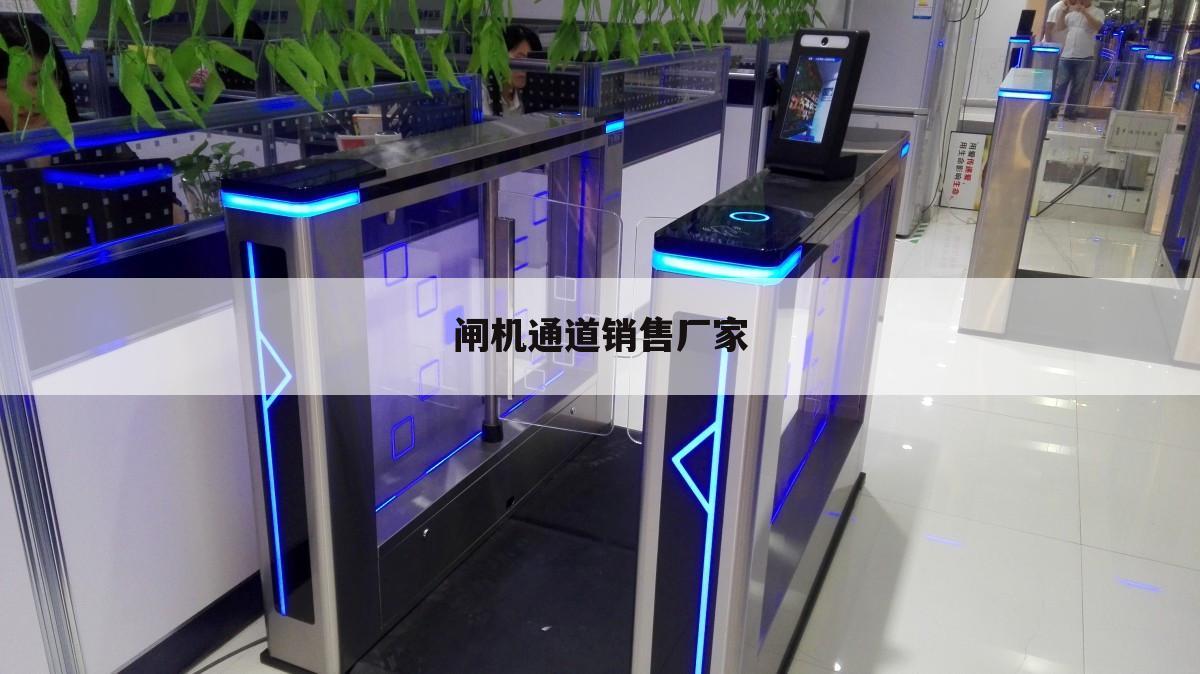 闸机通道销售厂家
