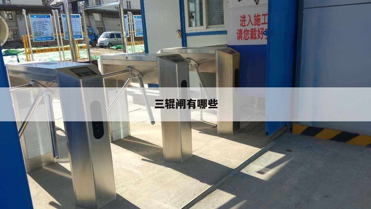 三辊闸有哪些