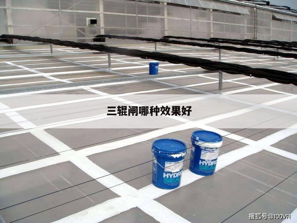三辊闸哪种效果好