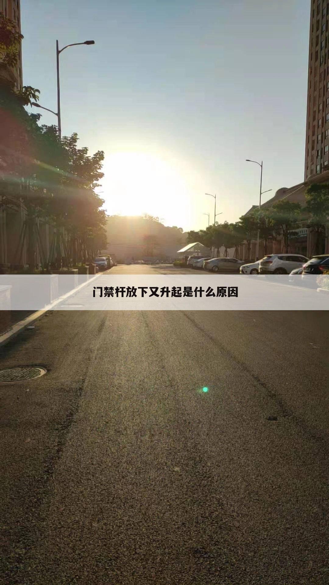 门禁杆放下又升起是什么原因