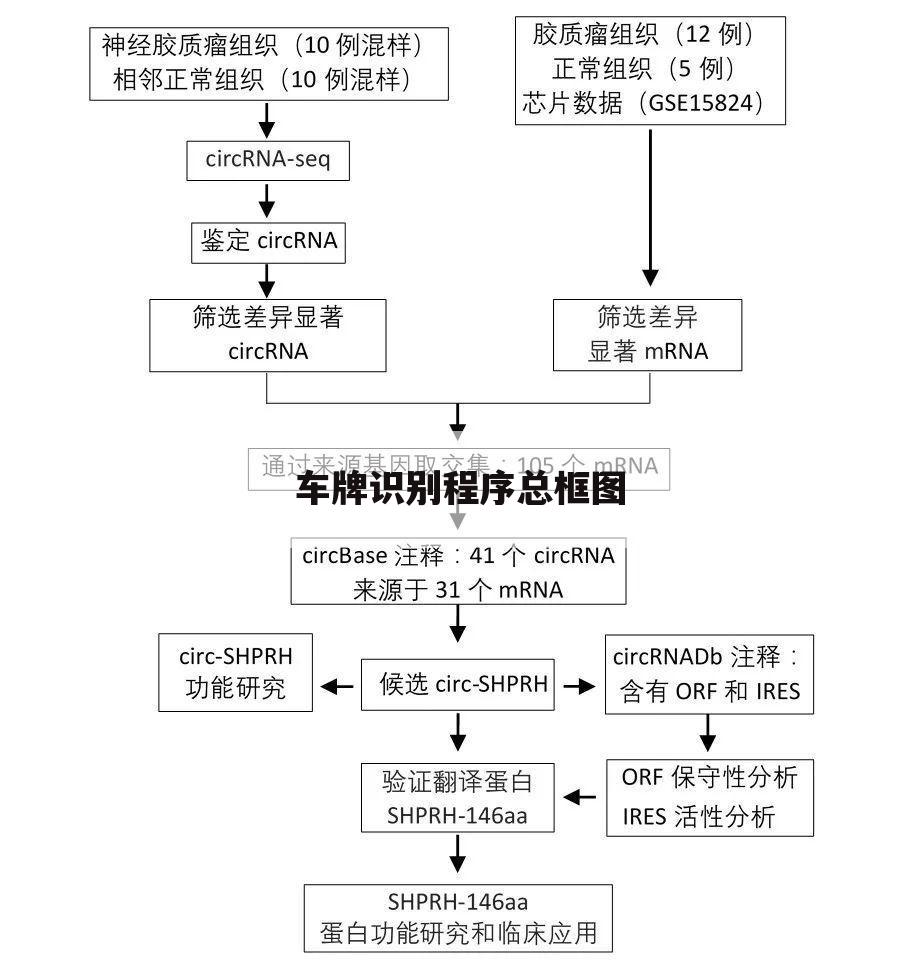车牌识别程序总框图