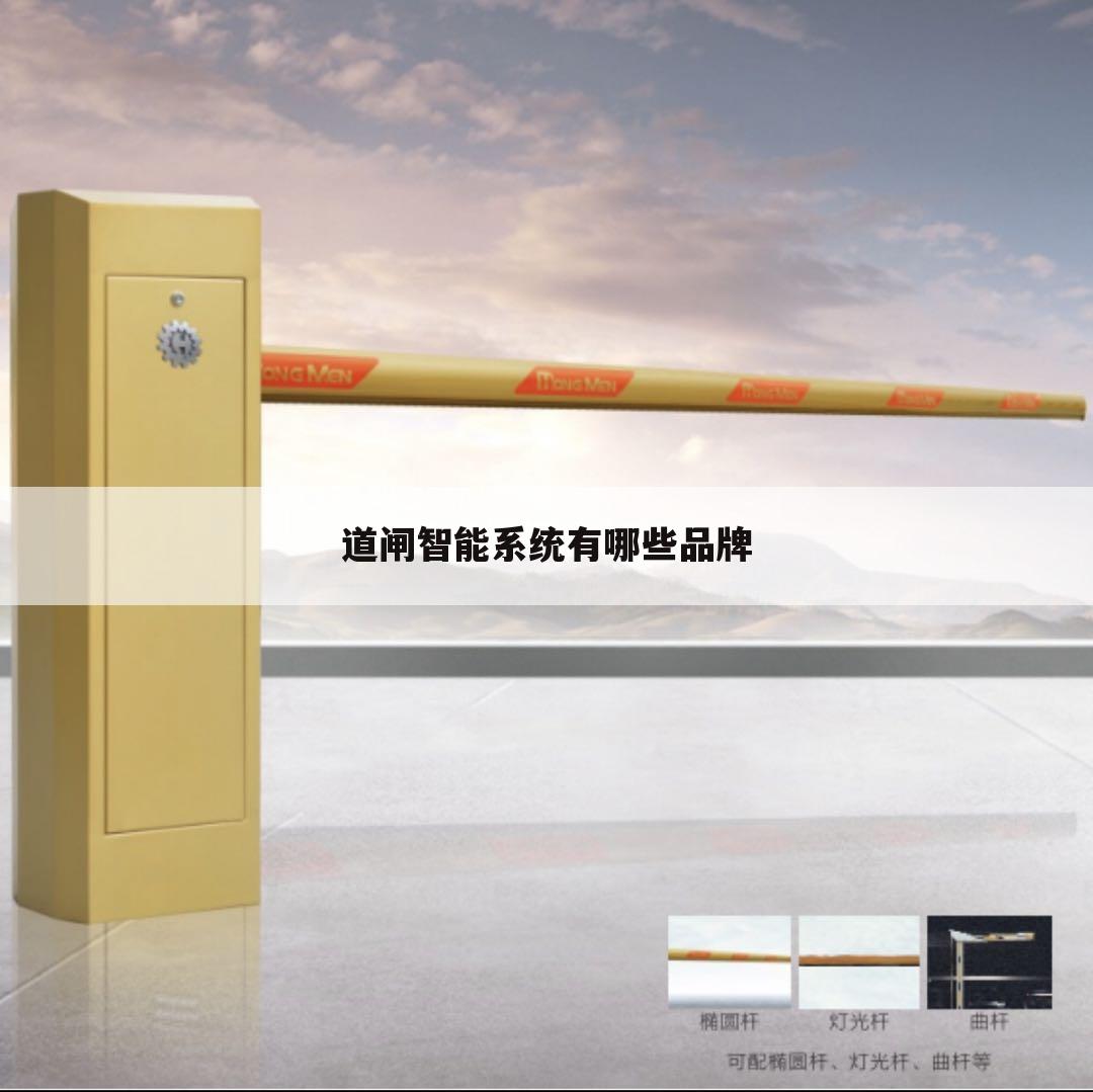 道闸智能系统有哪些品牌