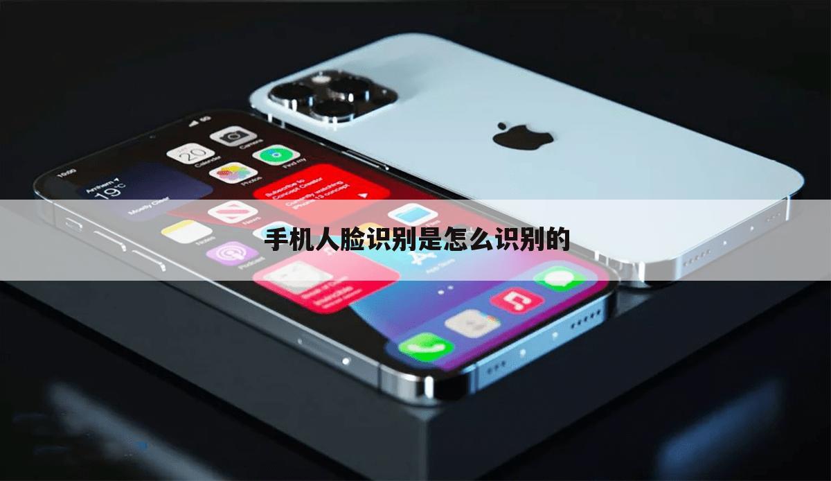 手机人脸识别是怎么识别的
