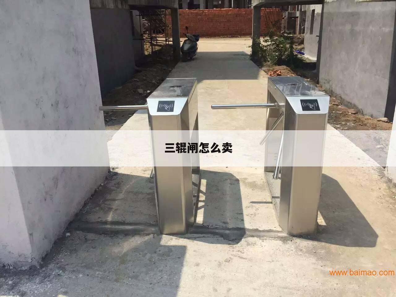 三辊闸怎么卖