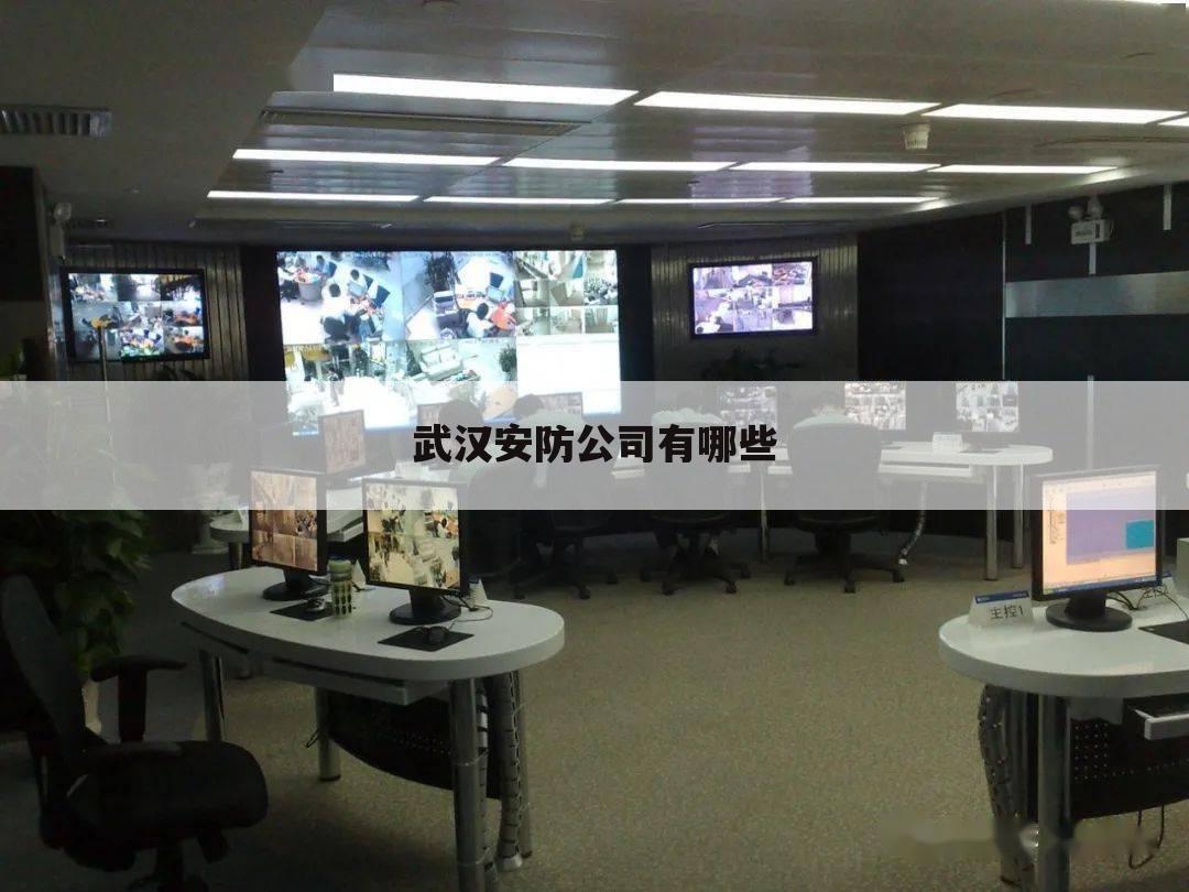 武汉安防公司有哪些