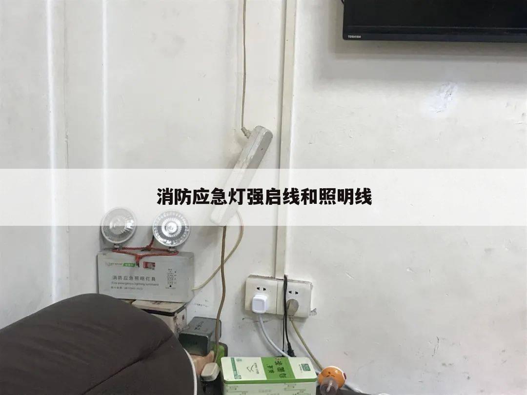 消防应急灯强启线和照明线