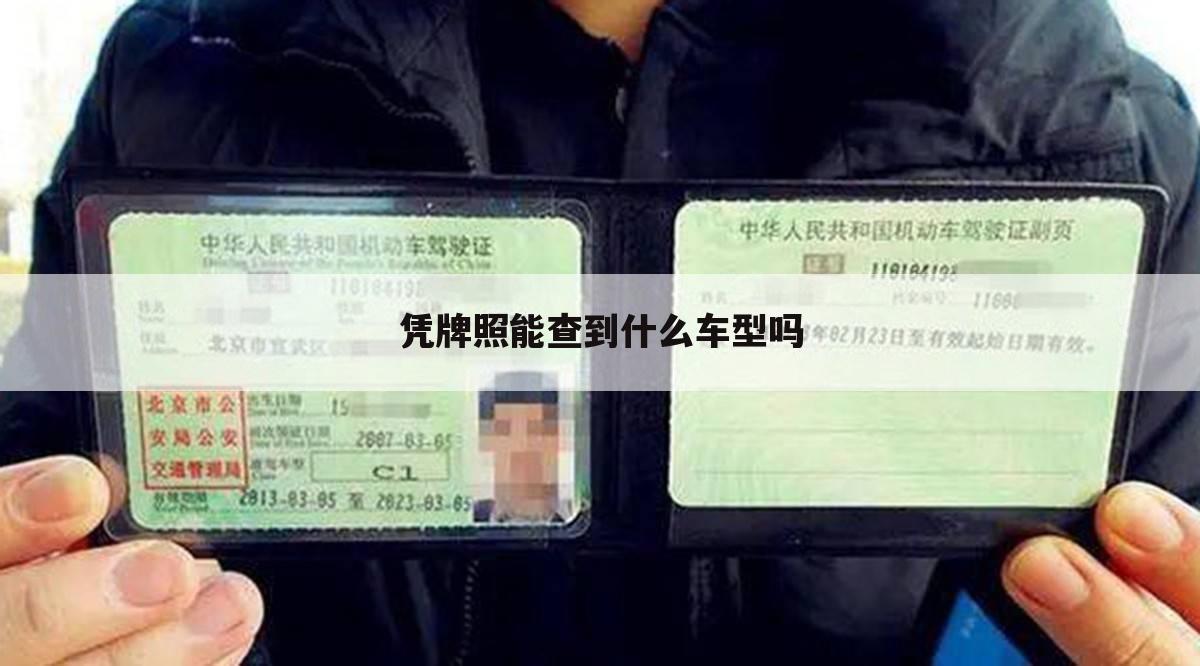凭牌照能查到什么车型吗