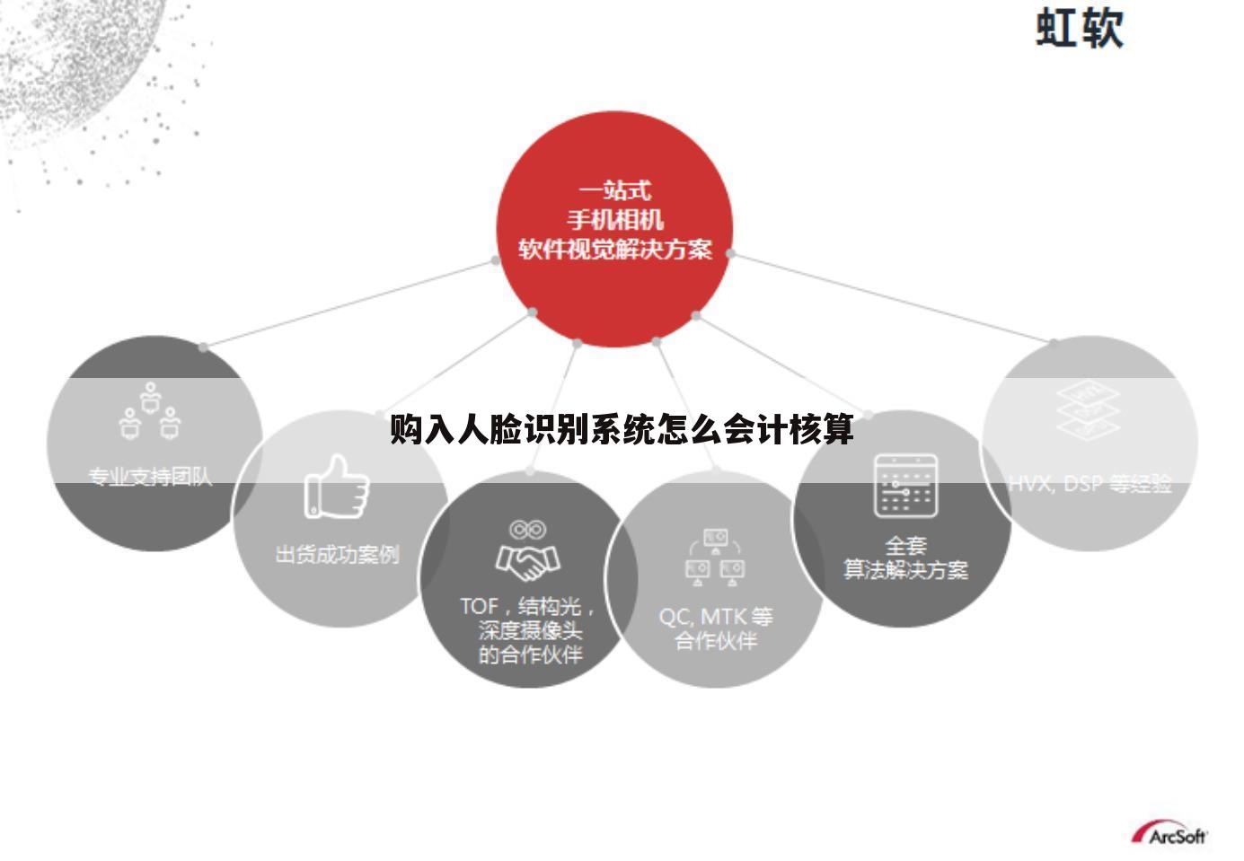 购入人脸识别系统怎么会计核算