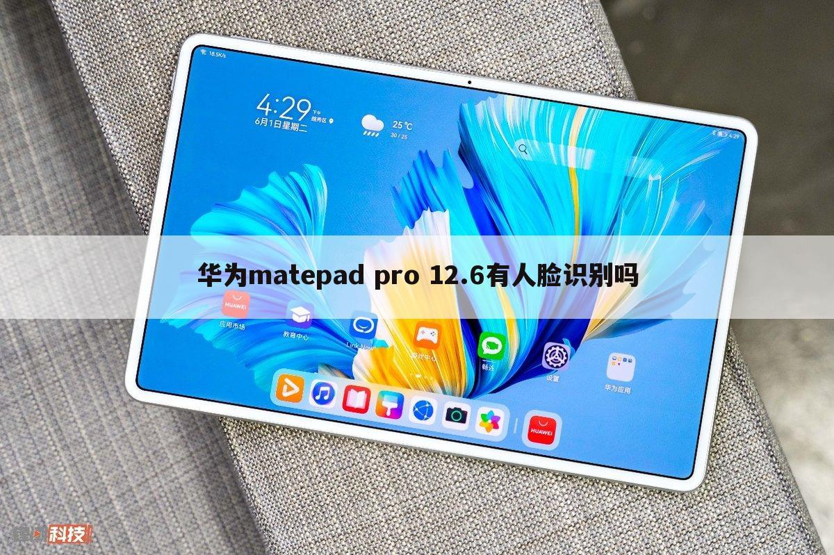 华为matepad pro 12.6有人脸识别吗