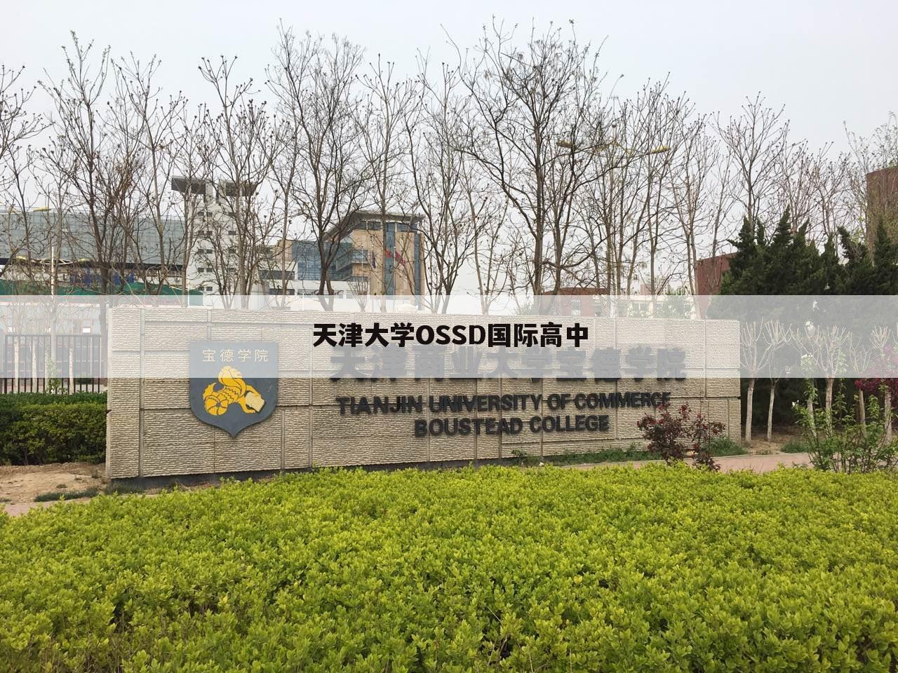 天津大学OSSD国际高中