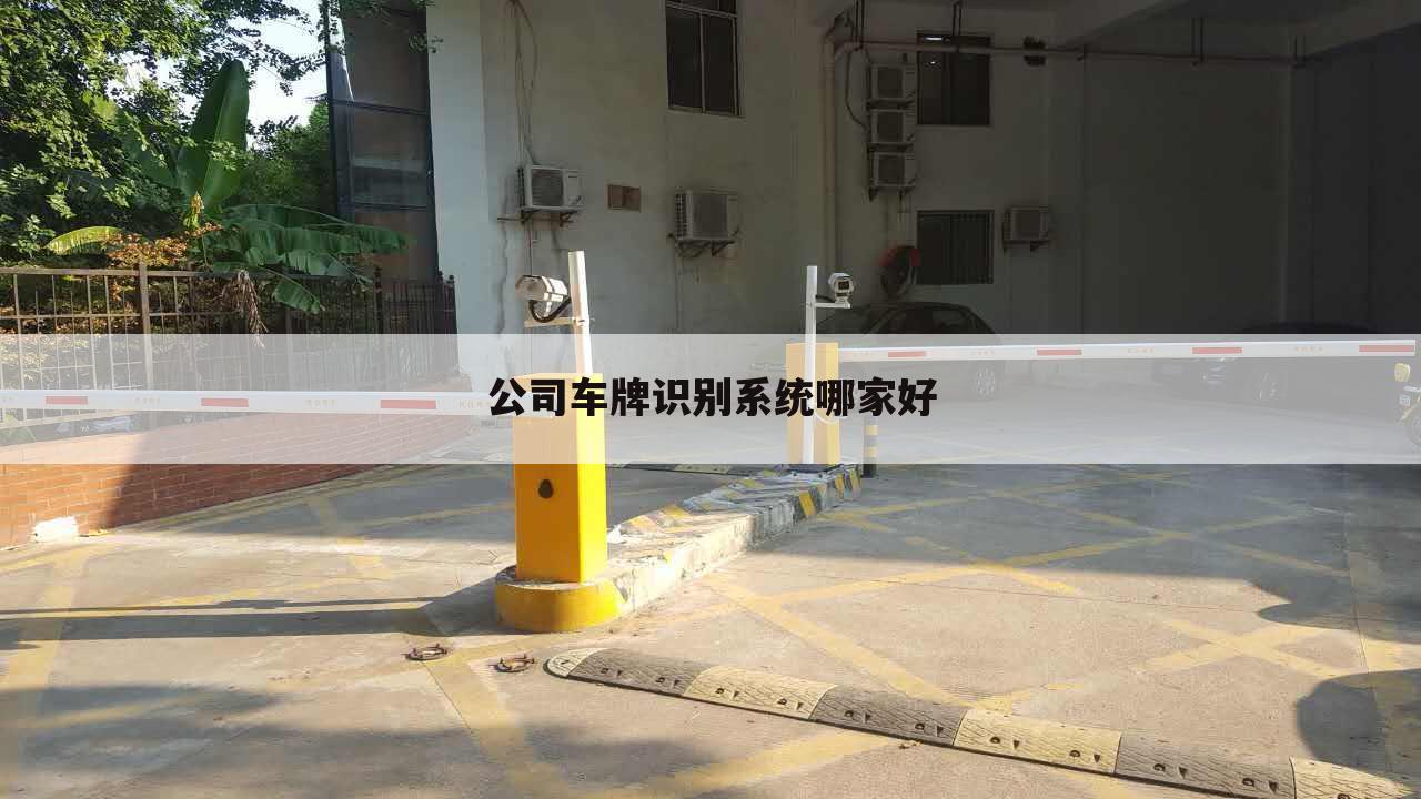公司车牌识别系统哪家好