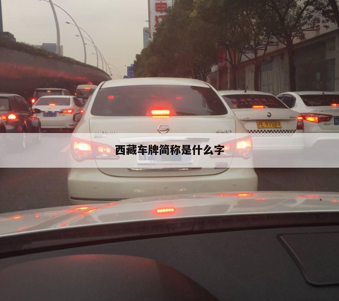 西藏车牌简称是什么字