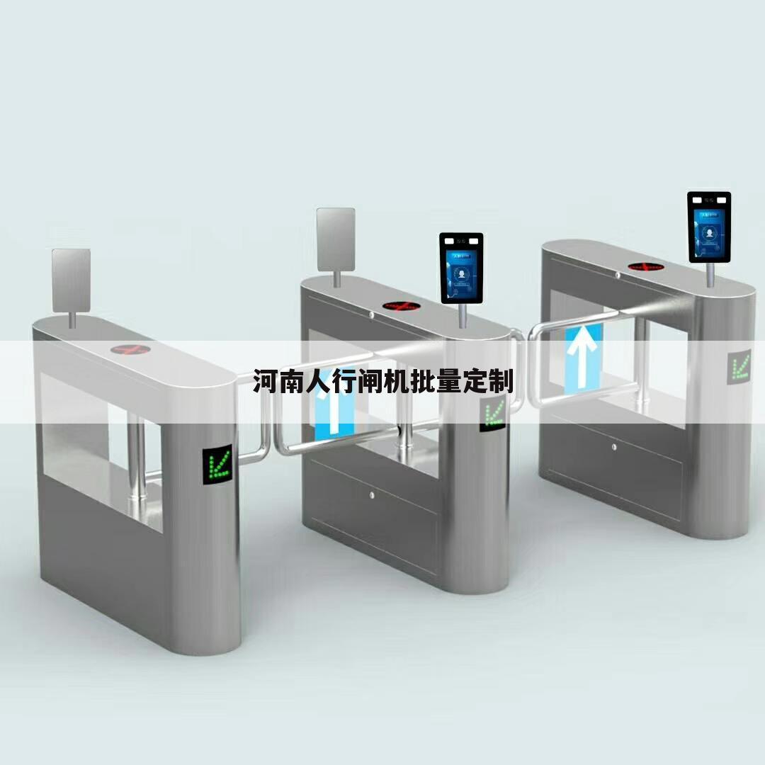 河南人行闸机批量定制