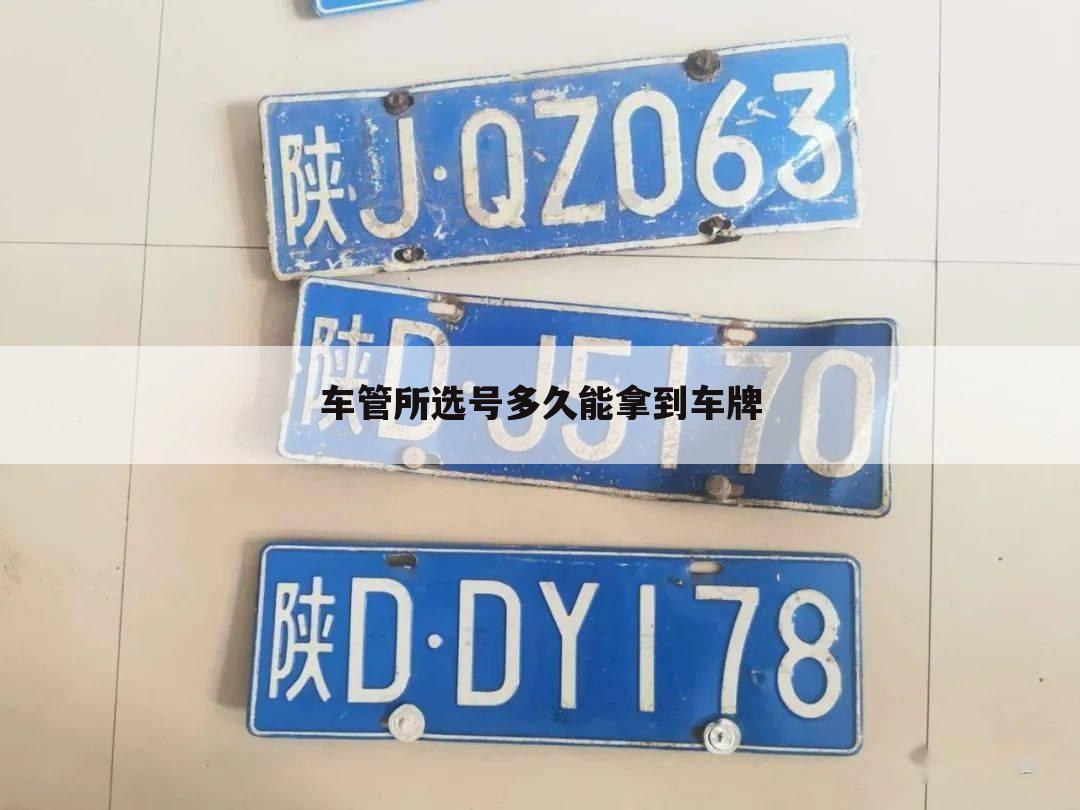 车管所选号多久能拿到车牌